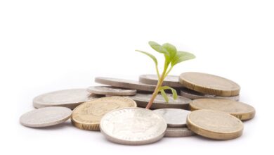financial planning software