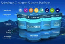 Salesforce CRM cost