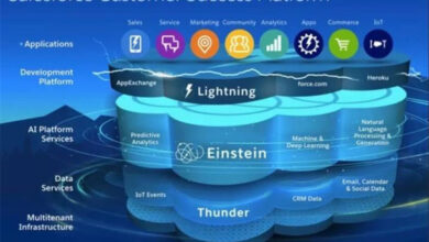 Salesforce CRM cost