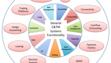 treasury management